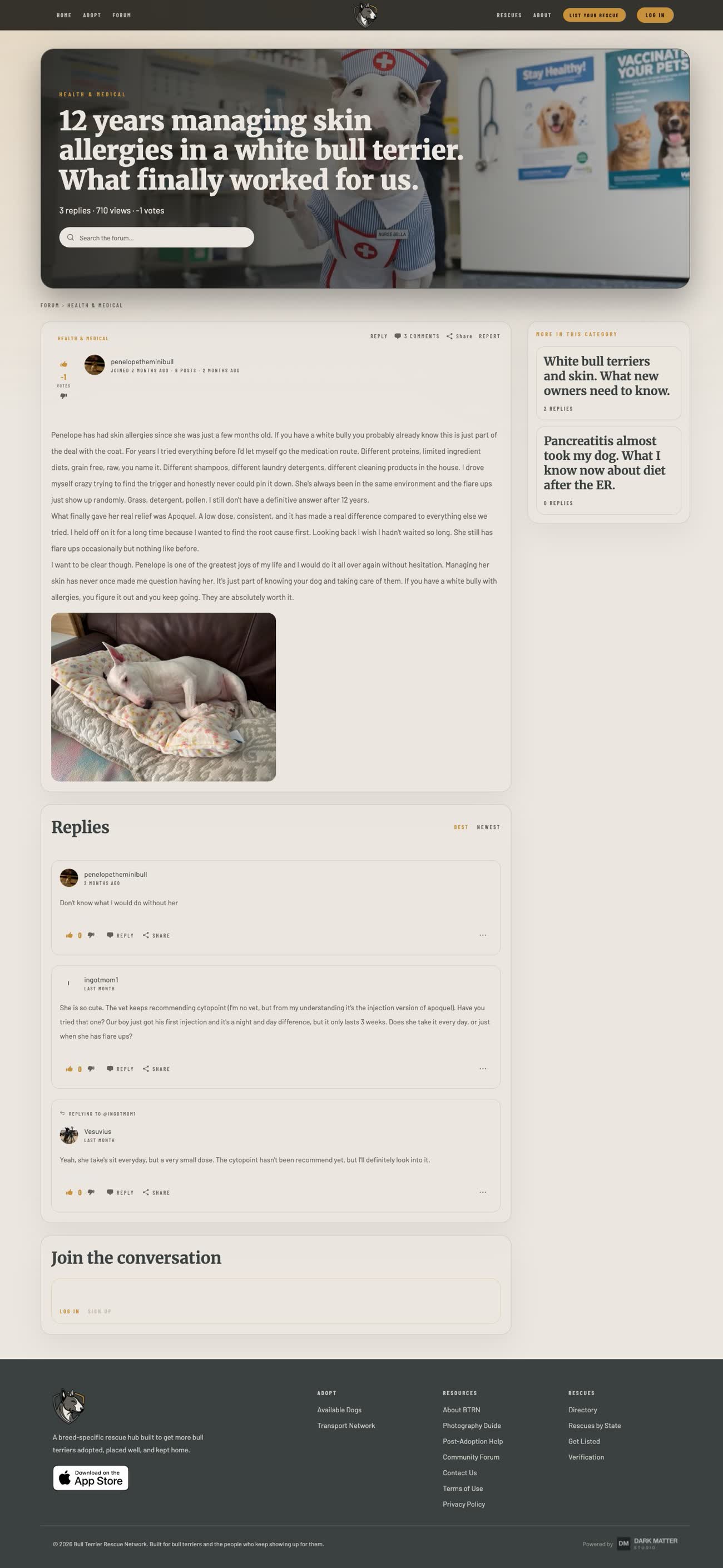 A forum thread on managing skin allergies, with the original post, replies, and reply count
